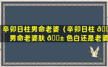 辛卯日柱男命老婆（辛卯日柱 🕷 男命老婆肤 🐱 色白还是老婆黑）